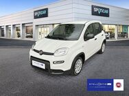 Fiat Panda, 1.0 Mild Hybrid (EURO 6d), Jahr 2024 - Hamburg