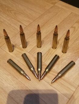 5,56 x 45 NATO 223 rem Deko Patrone - Mayen Zentrum