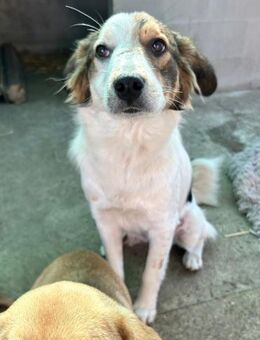 Lucy ist so zauberhaft - Großefehn
