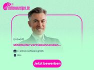 Mitarbeiter Vertriebsinnendienst / Sales Manager - IT-Branche (m/w/d) - Ulm