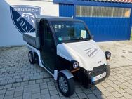 Ligier Pulse 4 L3 lang NKS1 9,6 kwh - Ronsberg