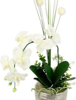 Kunstblume Arrangement Orchidee/Gras, I.GE.A., Höhe 60 cm, Topf aus Keramik