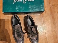 Paul Green Sneaker in grau/braun, Gr.7 - Oldenburg