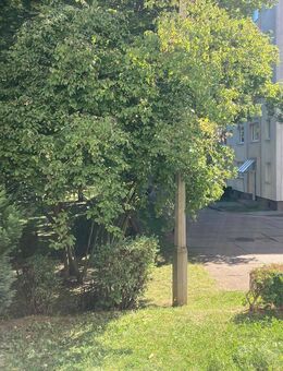 Erdgeschosswohnung mit Balkon und kleiner Terrasse - Gotha