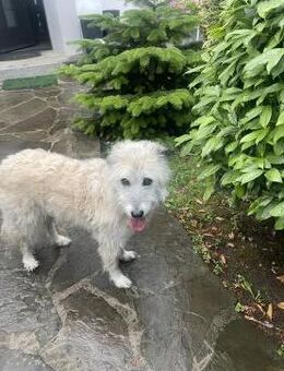 Lina ist in Deutschland - Köln