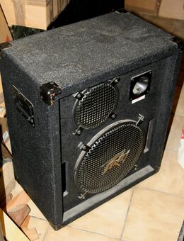 PA BOX COMBO PEAVEY CORBY 315E FUR ROCK Heavy Metal Hard-Rock - Völklingen