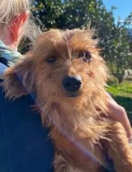 BRICCIOLA & SARDEDDU auf der Suche! - Regensburg