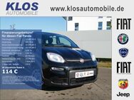 Fiat Panda, 1.0 HYBRID GSE 70PS E6D FINAL, Jahr 2024 - Kirn