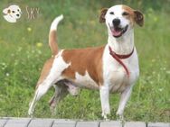 Sky sucht lustige aktive Menschen - Untergruppenbach