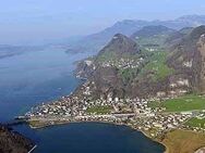 Villa mit Sicht auf den Vierwaldstättersee, Schweiz, zu verkaufen - Grünwald