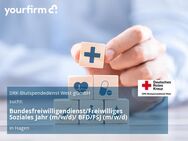 Bundesfreiwilligendienst/Freiwilliges Soziales Jahr (m/w/d)/ BFD/FSJ (m/w/d) - Hagen (Stadt der FernUniversität)