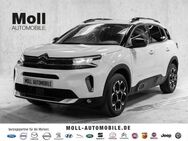 Citroën C5, Aircross Pure Tech 130 Shine Pack, Jahr 2023 - Aachen