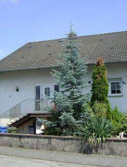 Einfamilienhaus in ruhiger Lage! - Weiterstadt
