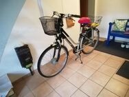 E-Bike Damenrad Giant Twist - Münster