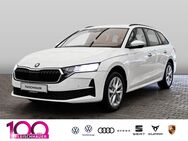 Skoda Octavia, 2.0 TDI Combi 2 0 EU6e C Selection Infotainment-Paket, Jahr 2024 - Bad Kreuznach