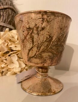 GLAS-POKAL - Hagen (Teutoburger Wald)