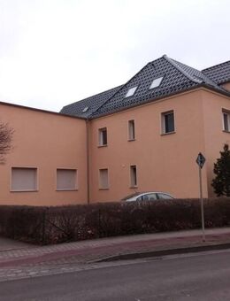 reizende 1 Raumwohnung in Senftenberg sucht neuen Mieter - Senftenberg