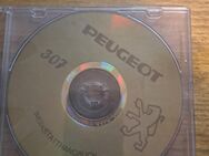 Reparaturanleitung Peugeot 307 auf DVD - Buchen (Odenwald)