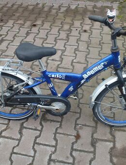 (21) 7 Gang Rücktrittsbremse 20 Zoll Rh 30 - Mainz
