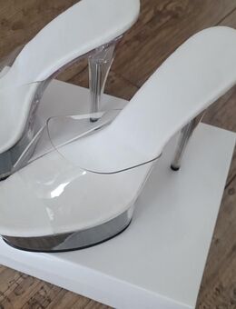 Platou Transparent - Köln