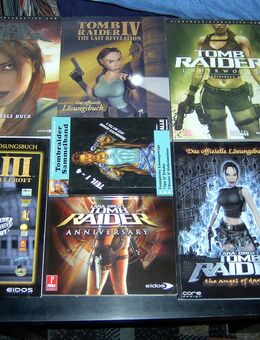 Computer Lösungsbücher und Spiele - Wiesbaden