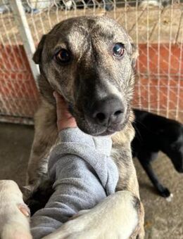 B.A. - menschenbezogen und neugierig! - Korschenbroich