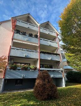 Helle 2-Zimmer-Dachgeschosswohnung mit Loggia und Blick ins Grüne - Mannheim