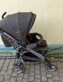 Gesslein Buggy S2 - Stegaurach