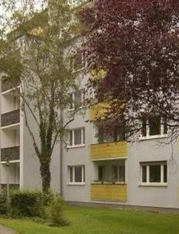3-Zimmer-Wohnung in Bonn Poppelsdorf (5310_3) - Bonn