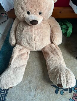 Großer Teddybär zu verkaufen - Nauheim