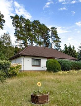 Einfamilienhaus auf großem Grundstück mit viel Potenzial! - Bleckede