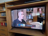 3,5 Wochen alter 43 Zoll-Fernseher PEAQ zu verkaufen - Griesheim