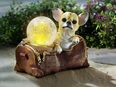 Dekofigur Chihuahua mit Solarleuchte Tierfigur Hundefigur #04119 in 75217