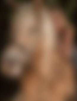 Hex*** - Walkertshofen