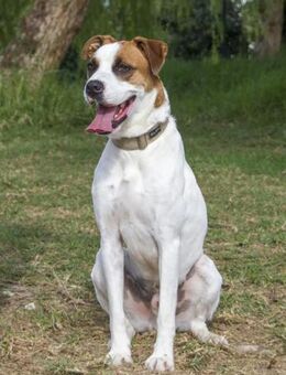 Clarin wartet schon so lange - Duisburg