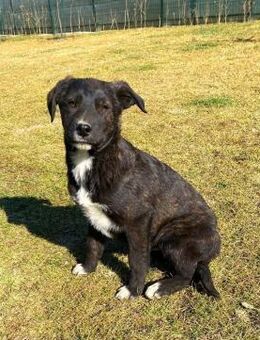 💙 𝐁𝐮𝐝𝐝𝐲 - Markkleeberg