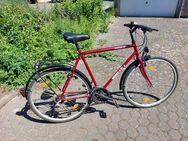 Herrenfahrrad 28 Zoll,18 Gang Kettenschaltung - Hürth