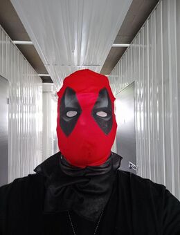 Dead Pool Kostüm in der Grösse L. - Mannheim