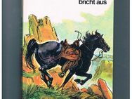 Blitz bricht aus,Walter Farley,Tosa Verlag,60er Jahre - Linnich