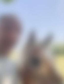 Phi*** - Regis-Breitingen