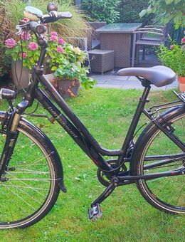 Damenfahrrad - Oberhausen