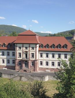 Schloss Fechenbach in Bayern - Majestätisches Barockschloss aus dem 18. Jahrhundert - Collenberg