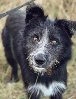 Die sensible Jana - Weilmünster