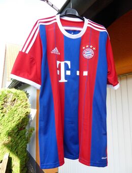 Orig. FC Bayern München Trikot 2014/15 – Götze 19 – Größe L-signiert - Asbach-Bäumenheim