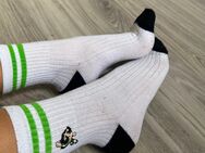 Söckchen gegen Tg getragene Socken einer Studentin - Bochum