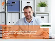 Steuerfachangestellte/r für Lohn- und Finanzbuchhaltung (m/w/d) Vollzeit / Teilzeit - Witzeeze