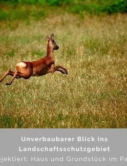 Naturnah und doch zentral leben - Hamburg