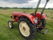 Porsche Diesel Standard 218 Traktor Oldtimer Schlepper - Isernhagen