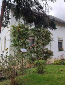 Altes Lehmhaus in schöner ländlicher Wohnlage! - Crimmitschau