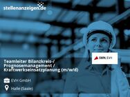 Teamleiter Bilanzkreis-/ Prognosemanagement / Kraftwerkseinsatzplanung (m/w/d) - Halle (Saale)